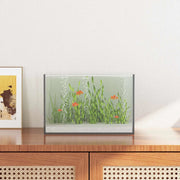Acquario con archiviazione Trasparente 30 x 20 x 20 cm Vetro 42020379