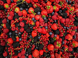 CONCIME UNIVERSALE GRANULARE per orti aiuole prato alberi cespugli FLORTIS 5 KG