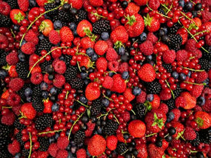 CONCIME UNIVERSALE GRANULARE per orti aiuole prato alberi cespugli FLORTIS 5 KG