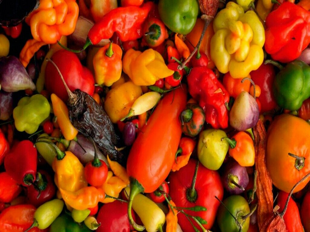 CONCIME UNIVERSALE GRANULARE per orti aiuole prato alberi cespugli FLORTIS 5 KG