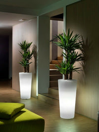 VASO LUMINOSO TONDO cache-pot LED luce bianca ESTERNO alto 85cm Made in Italy