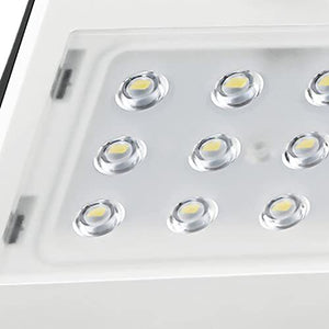 Rev Solare LED Butterfly con Sensore di Movimento 1.5W Bianco