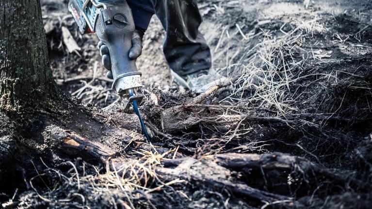 Bosch 2 608 900 403 lama per sega a gattuccio, sega a traforo e sega universale Lama per sega universale Carburo 1 pz