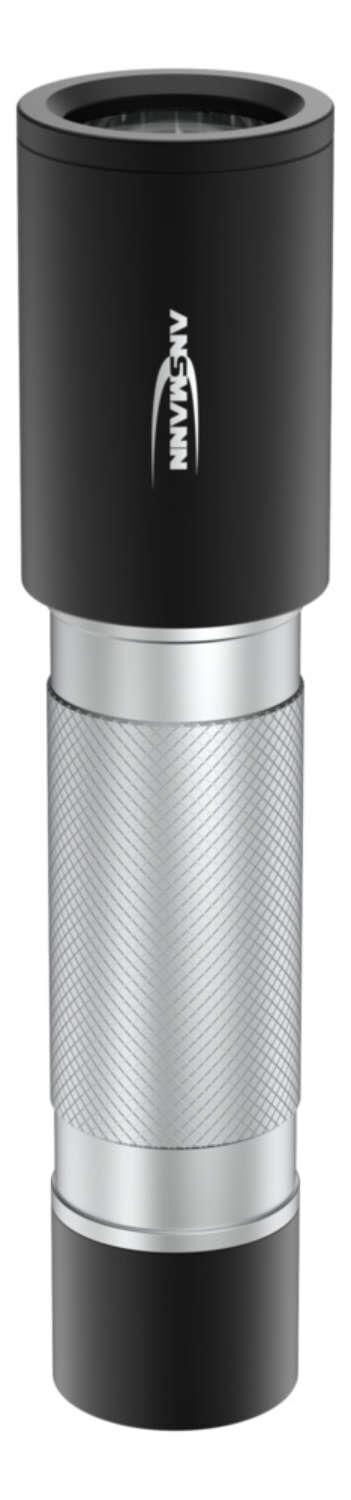Ansmann Daily Use 300B Nero, Argento Torcia elettrica universale LED