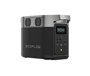 EcoFlow Delta 2 Power Station Portatile