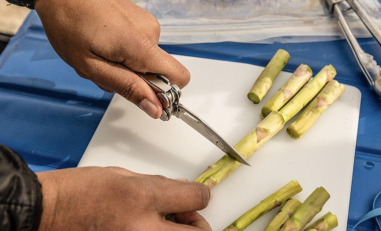 Leatherman Curl pinza multiuso Tascabile 15 strumenti Argento