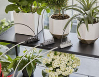 Gardena 13366-20 sistema di irrigazione goccia a goccia