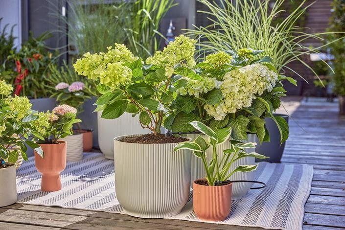 Gardena 13400-20 sistema di irrigazione goccia a goccia