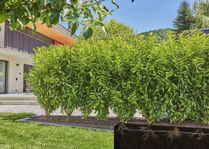 Gardena 13501-20 sistema di irrigazione goccia a goccia