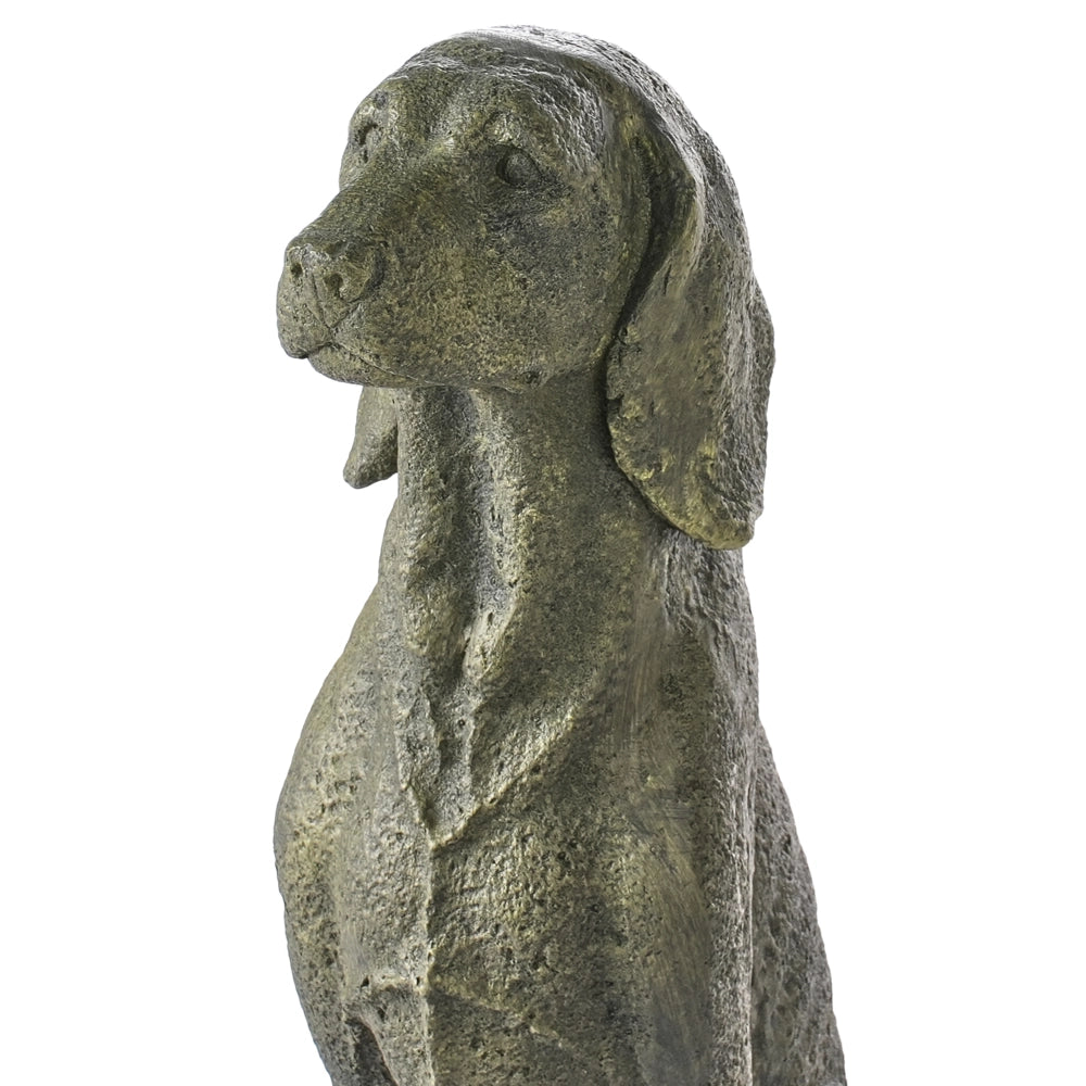 Statuetta decorativa in ferro a forma di cane marrone Decorazione per interni ed esterniSoggiorno