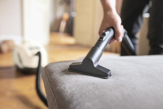 Kärcher DS 6 2 L A cilindro Secco 650 W Senza sacchetto