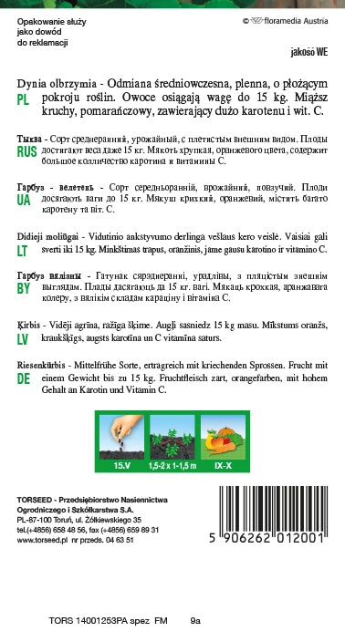 Bambino zucca gigante 5g