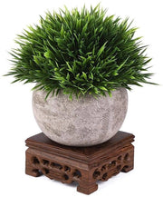 Vaso per Piante in Legno - Decorazione di Interno - Accessorio per Ufficio di Casa - Sviluppato Professionalmente - Vaso Decorativo