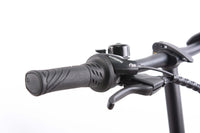 F.LLI SCHIANO E-BOSS  20'' E-bike , Bicicletta elettrica Pieghevole Unisex Adulto con Motore 250W e 7 velocitÃ , Batte