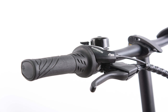 F.LLI SCHIANO E-BOSS  20'' E-bike , Bicicletta elettrica Pieghevole Unisex Adulto con Motore 250W e 7 velocitÃ , Batte