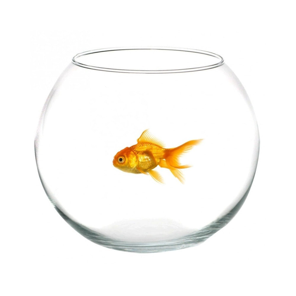 Trade Shop - Ampolla Boccia Per Pesci In Vetro 20 Cm Acquario Pesce Rosso Centrotavola -