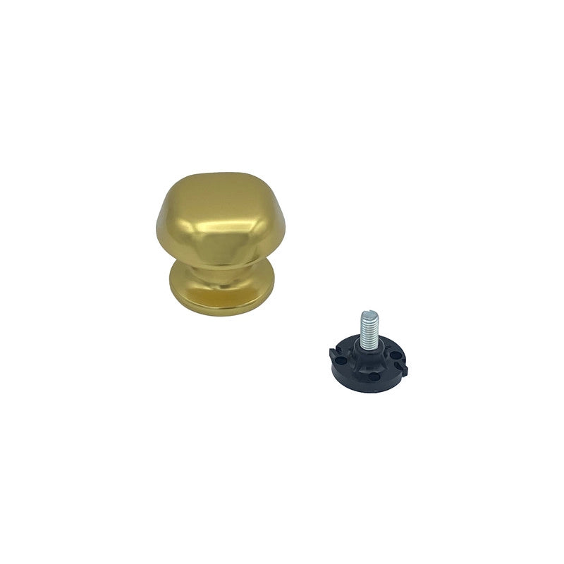 Pomolo fisso per porta SAGUATTI 172/60BB in alluminio oro lucido