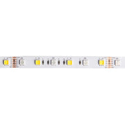 Striscia LED RGB+CCT 5m 14,4W/m 12V IP63 dimmerabile Ecolight