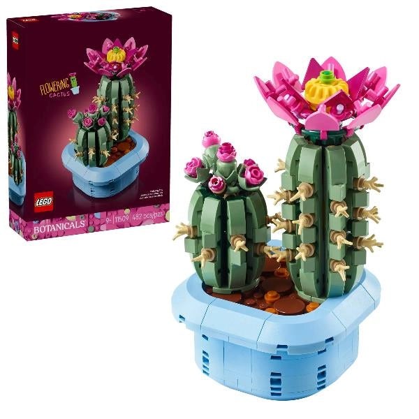 Cactus in fiore - 11509