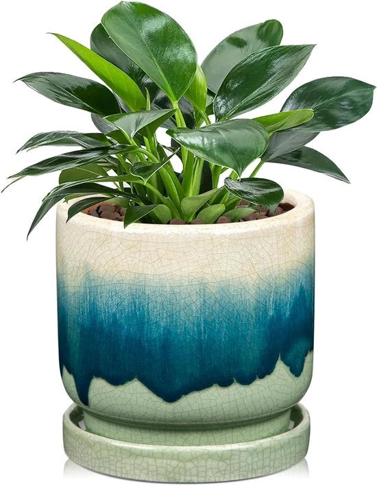 Vaso Ceramico con Fessure di Drenaggio e Piastrelle Sotto per Basi - Diametro 13 cm per Piante da Interno e Esterno - Verde