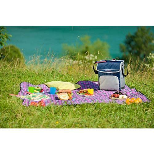 Campingaz Fold`N Cool borsa frigo 20 L Blu, Grigio