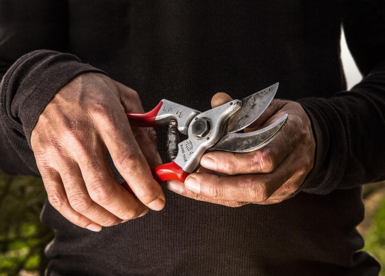 Felco 4 cesoia da potatura Incudine Rosso