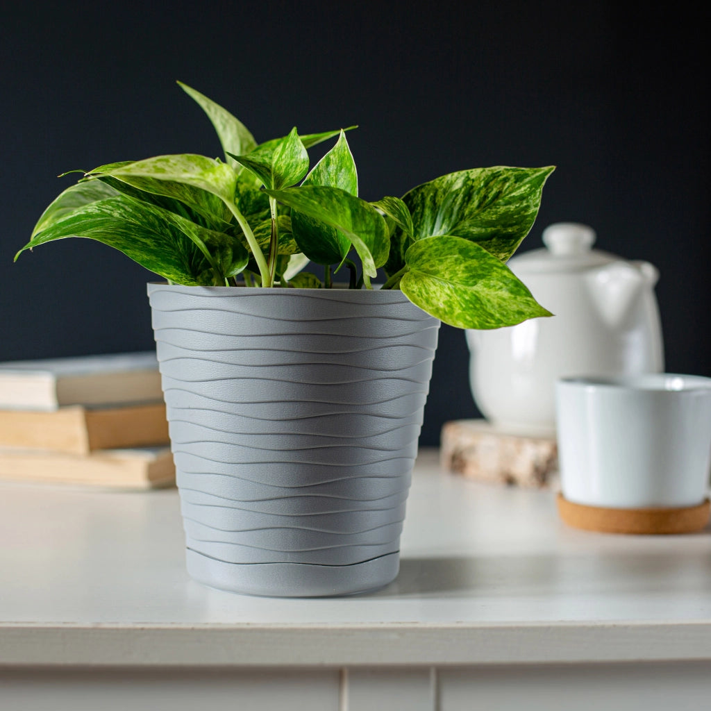 Vaso da fiori KADAX da 30 cm, con coperchio in plastica e supporto.