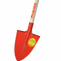 Mass Vanga Punta Temprata Fort manicata