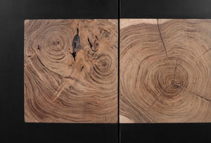 Credenza moderna in legno di mango e gambe in ferro