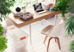 KIS K Latch Box Armadietto portaoggetti Rettangolare Arancione, Trasparente