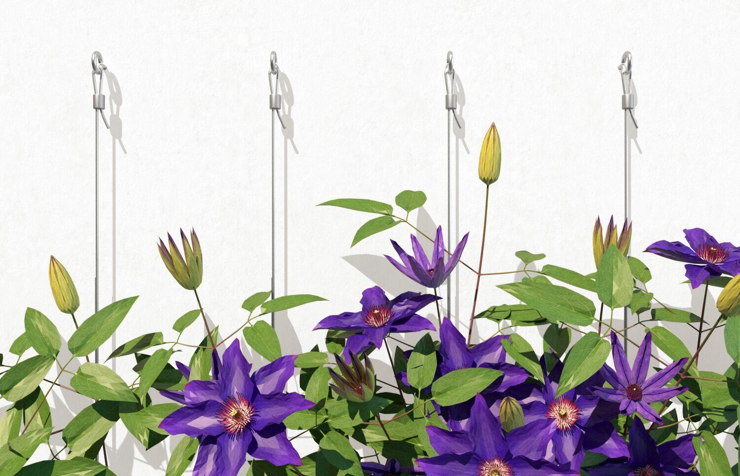 Fischer 50493 ancoraggio a vite e tassello 10 pz Tassello di espansione 75 mm