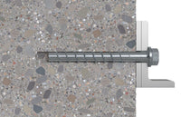 Fischer 536855 giravite e bullone 100 mm 50 pz Vite