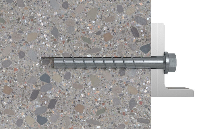 Fischer 536855 giravite e bullone 100 mm 50 pz Vite