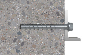 Fischer 536855 giravite e bullone 100 mm 50 pz Vite