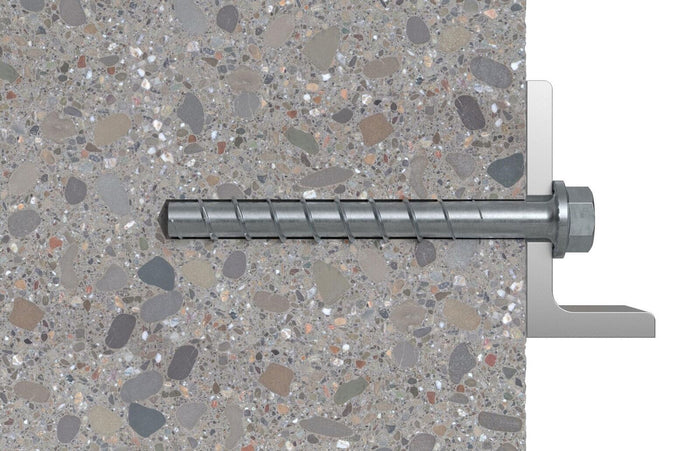 Fischer 536856 giravite e bullone 110 mm 50 pz Vite