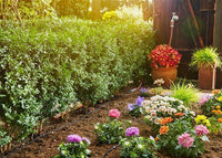 Gardena Micro-Drip-System Starter Set randen S 13010-20