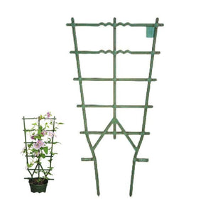 Erba Telaio vasi Rampicanti Verde cm 35 h 75