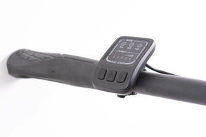 F.LLI SCHIANO E-BOSS  20'' E-bike , Bicicletta elettrica Pieghevole Unisex Adulto con Motore 250W e 7 velocitÃ , Batte