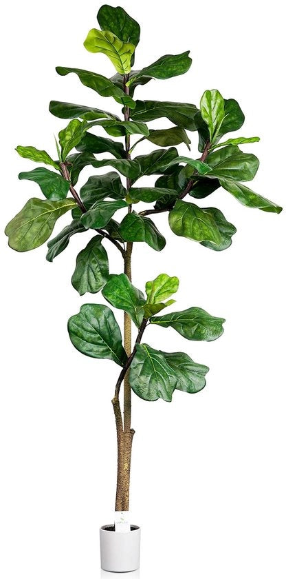 Pianta da Interno di Fico a Foglia di Violino 180cm, Ficus pandurata Hance, Ficus con Ramo e Foglie Regolabili, Decorazione per Salotto, Ufficio, Festa e Evento