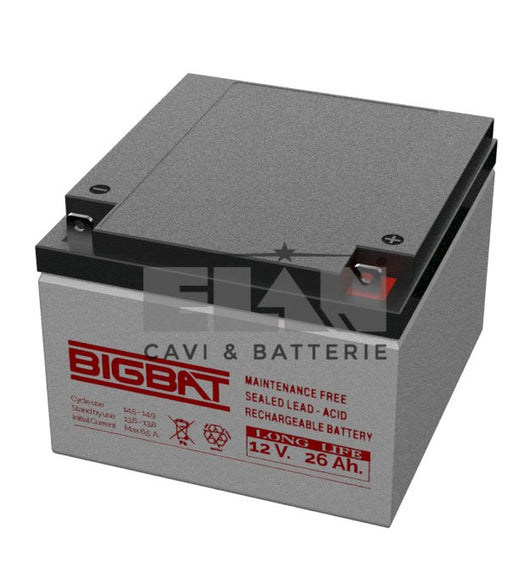 BATTERIA ELAN BIGBAT AL PIOMBO 12V 26Ah LONG LIFE 01224 CONFEZIONE 2 PEZZI