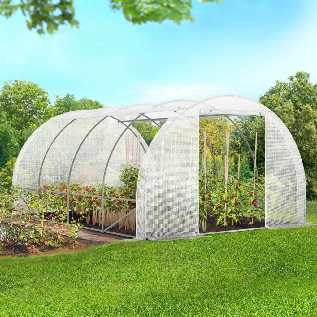 IDMarket - Serra da giardino a tunnel da 12 m² (4 x 3 x 2 m) in acciaio zincato + telo anti-UV con porta e finestre ZEBRA bianche per tutte
