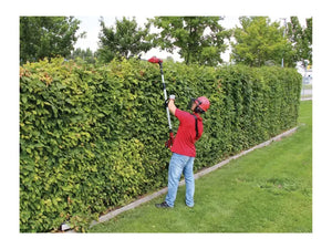 Utensile multiuso GE-HC 18 Li T-Solo Einhell taglio rami e siepi 18V senza batteria