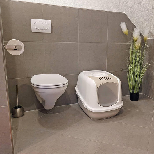 Beeztees Nestor Jumbo - Lettiera per Gatti, Beige