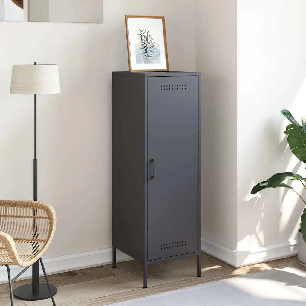 Credenza | Madia | Buffet da pranzo | Armadio da pranzo Antracite 36x39x113 cm in Acciaio