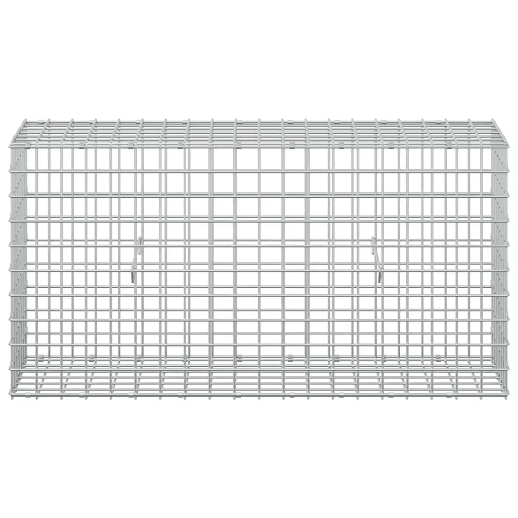 Gabion con Filo da 3,5 mm e Maglia da 5x5 cm 100x30x50 cm 3462212