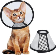 Collare per gatti - Adattabile - Kegel leggero - Plastica - Per gattini e cuccioli (18-22 cm)