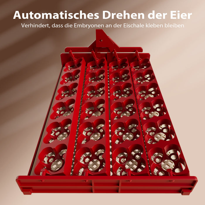 Incubatrice automatica per 24 uova, con regolazione temperatura e umidità, Covatrice