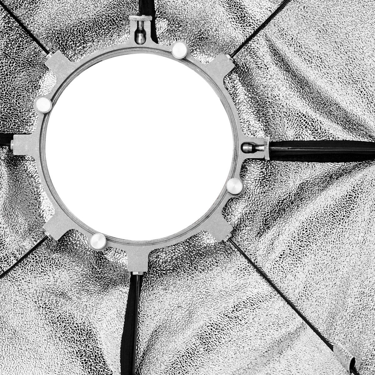 Octa Softbox PLUS OL Ø213 Auro/Bowens