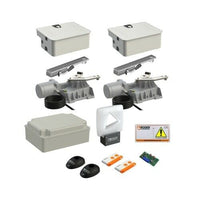 SET 2 MOTORI ELETTROMECCANICI INTERRATI PER CANCELLI BATTENTI ROGER SET R21/353