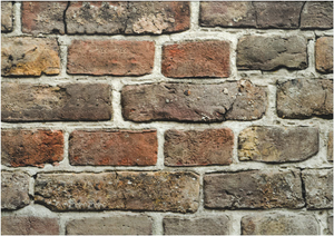 Rivestimento parete plastonda decor brik 50x100cm spess3mm